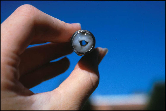 Biofilm deposits in small diameter stainless steel pipe 