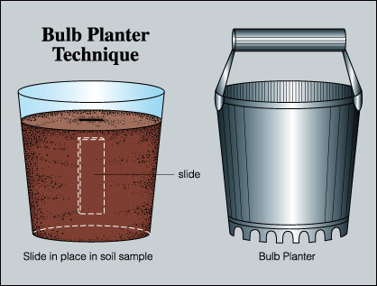 Bulb planter technique for obtaining a soil sample