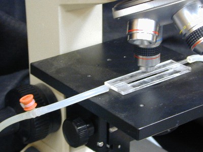 Figure 4. A close up view of a flow cell and access port placed on a microscope stage