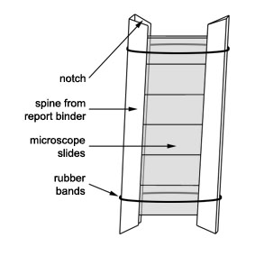 Several slides can be sited together in a device made from the plastic spine of a plastic binder, usually used to hold student reports.