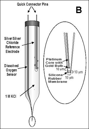 Dissolved Oxygen Sensor